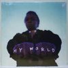 LEE FIELDS: MY WORLD