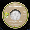 BERES HAMMOND - DON'T WAIT TOO LONG / YOU DON'T HAVE TO LIE