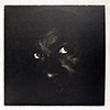 ANTHONY BRAXTON: TOWN HALL 1972