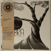 JOEL FAIRSTEIN: UMBRA