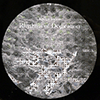 KAORU INOUE: RHYTHMS OF DEDICATION