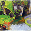 CLAMS CASINO: RAINFOREST