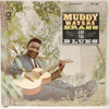 MUDDY WATERS: BRASS AND THE BLUES