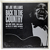 BIG JOE WILLIAMS: BACK TO THE COUNTRY