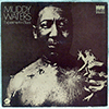 MUDDY WATERS: EXPERIMENT IN BLUES