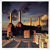 PINK FLOYD: ANIMALS