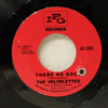 VELVELETTES: THERE HE GOES / THAT'S THE REASON WHY
