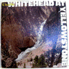 CHARLIE WHITEHEAD: WHITEHEAD AT YELLOWSTONE